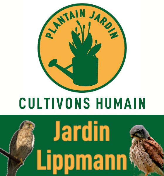 Jardin Lippmann - Asso Plantain Jardin