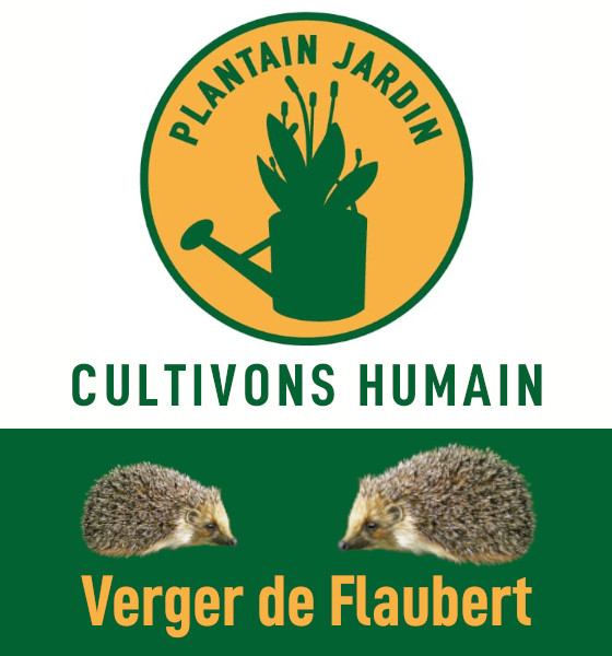 Logo de Verger de Flaubert - asso Plantain Jardin