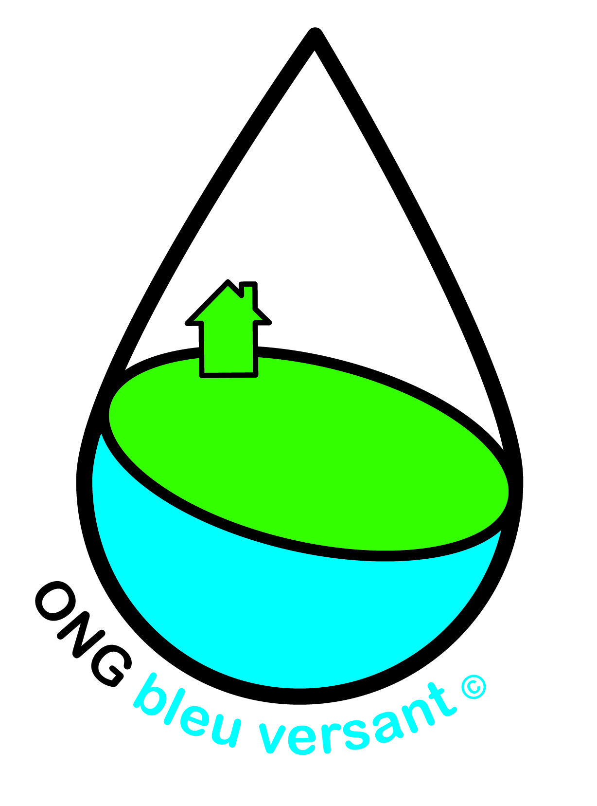 Logo de ONG Bleu Versant