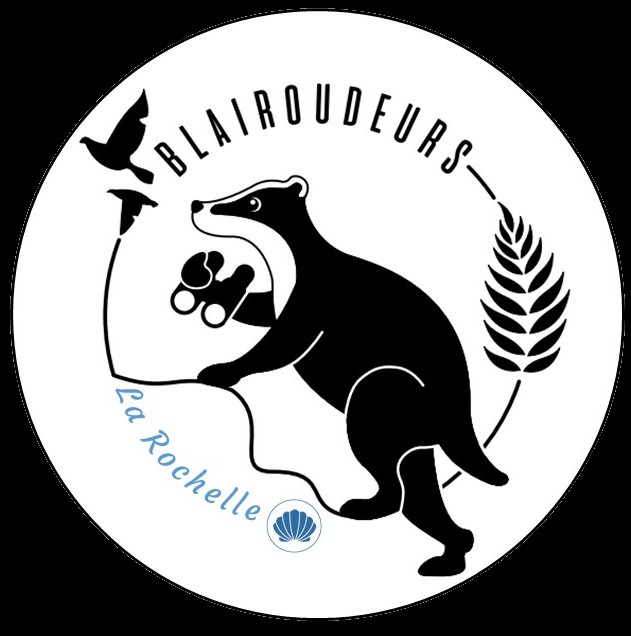 Logo de Blairoudeurs