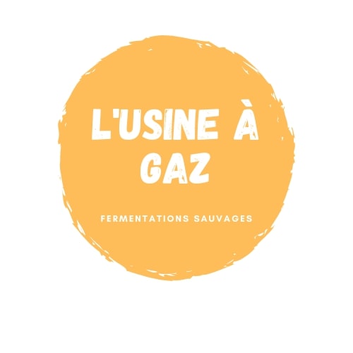 Logo de L'Usine à Gaz