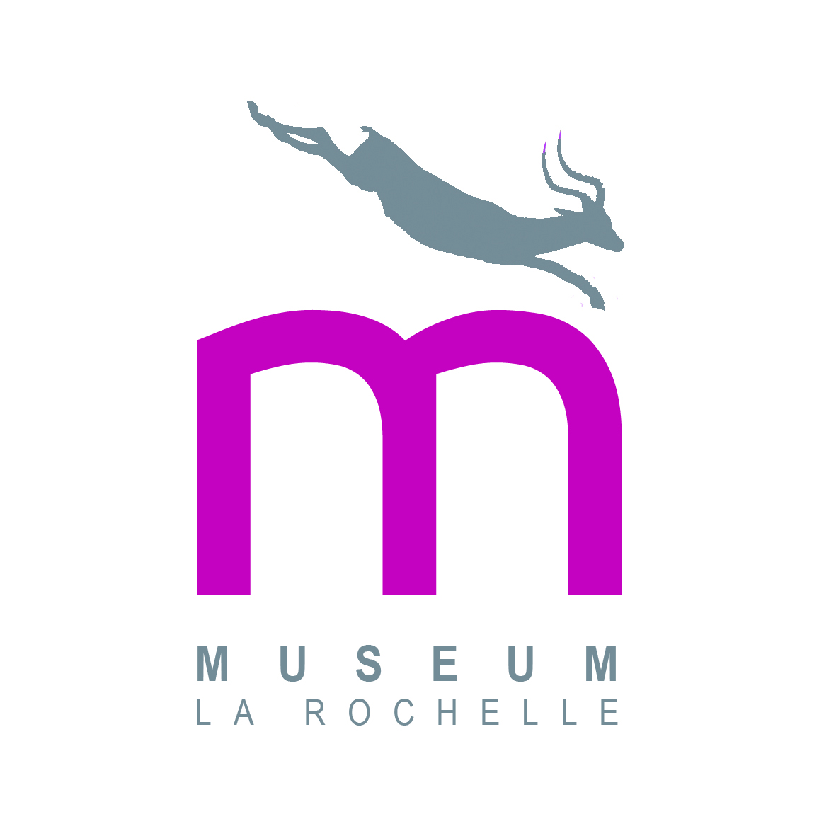 Logo de Museum d'Histoire naturelle de La Rochelle