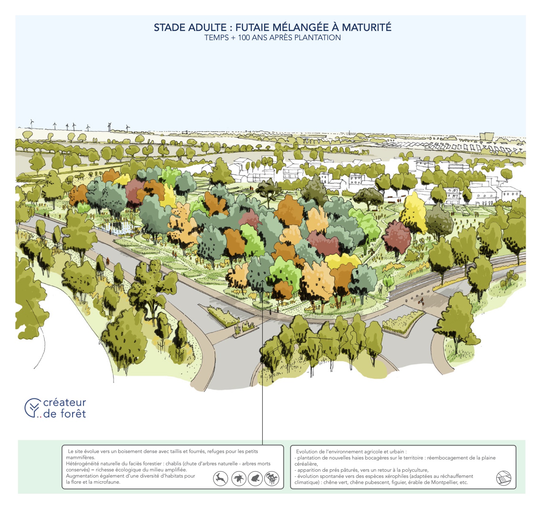 Créateur de forêt : Sensibiliser pour mieux protéger en Charente-Maritime