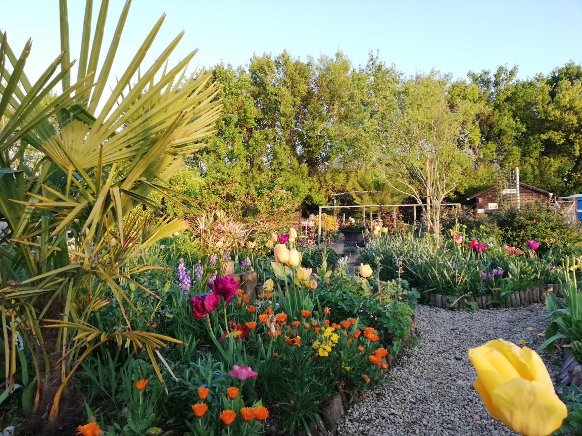 le jardin en folie