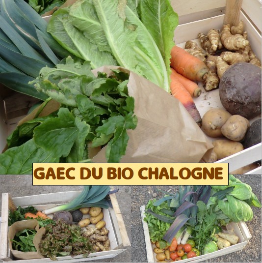 Logo de GAEC DU BIO CHALOGNE