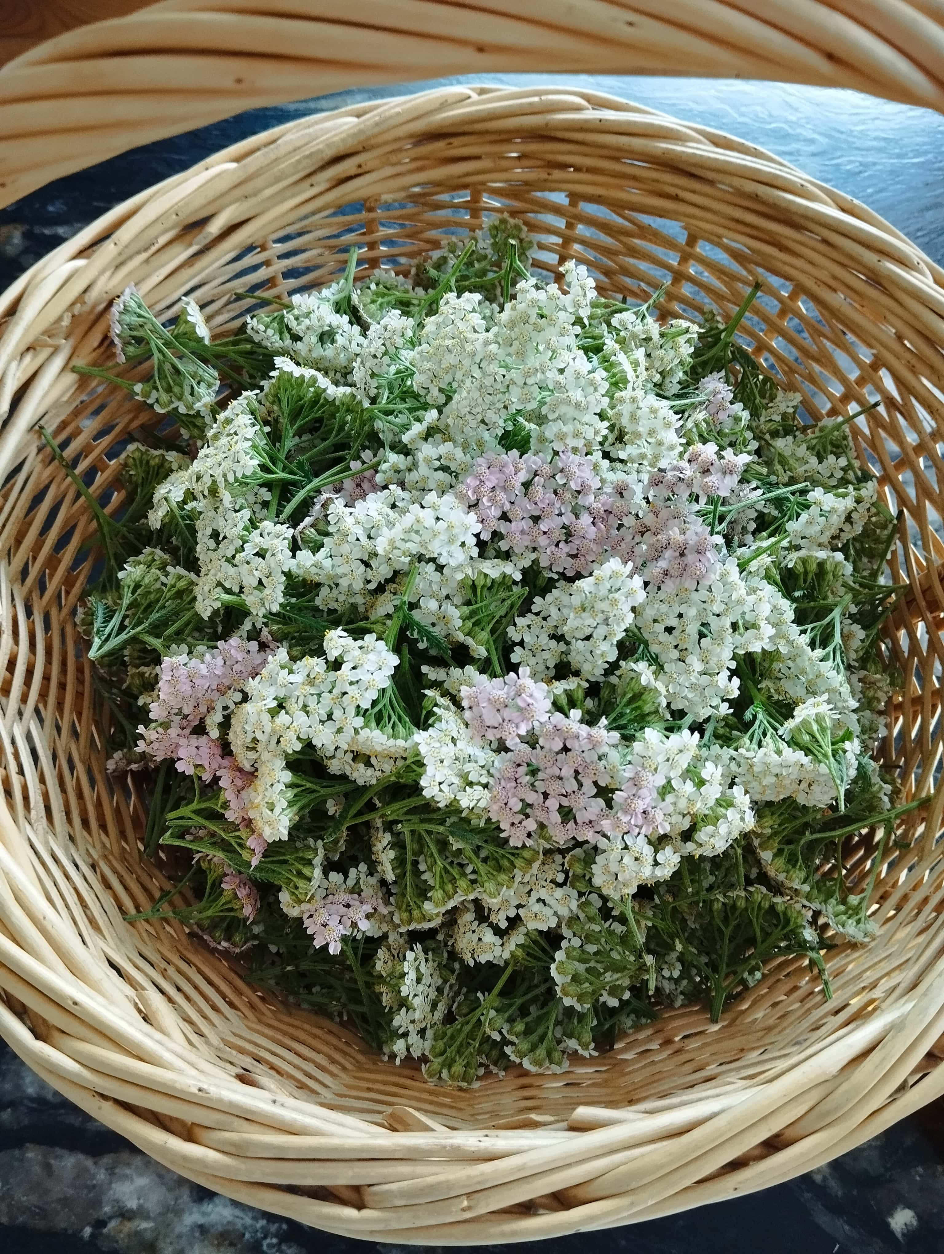 Herbes & Embruns