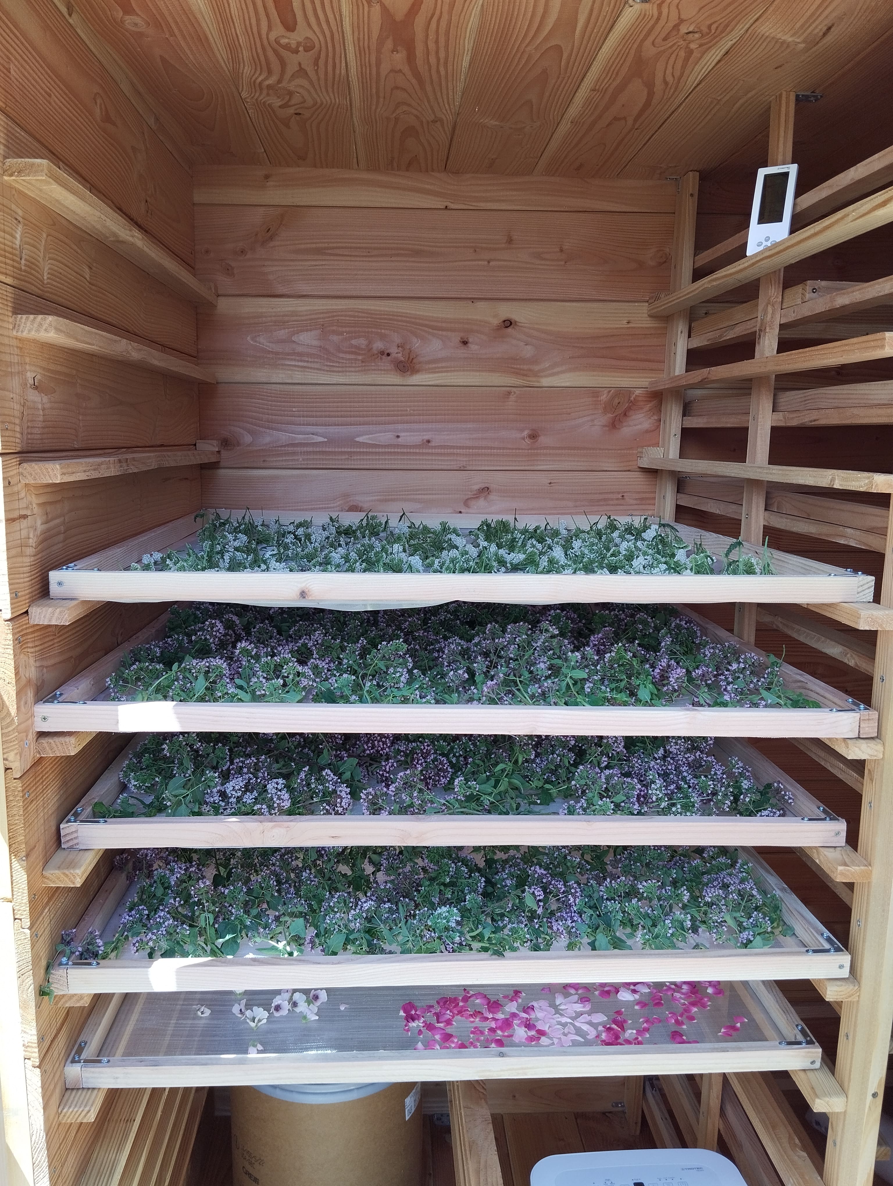 Herbes & Embruns