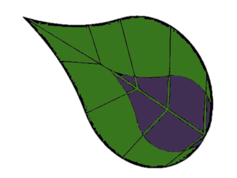 Logo de Amarante Rebelle